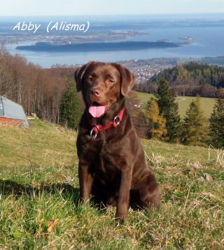 Abby 26.11.11hp-