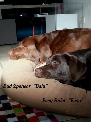 Balu und Easy 2--14