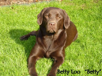 Betty Loo 18.05.10 1hp-