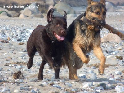 Bruno und Aik 2--hp