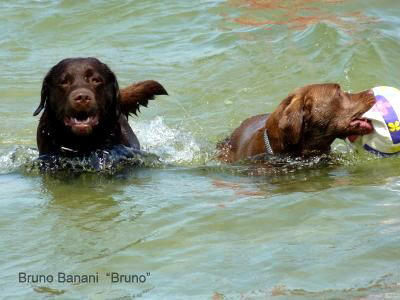 Bruno und Ayla-hp