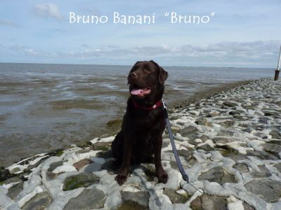 Burhave Bruno 05.10HP1