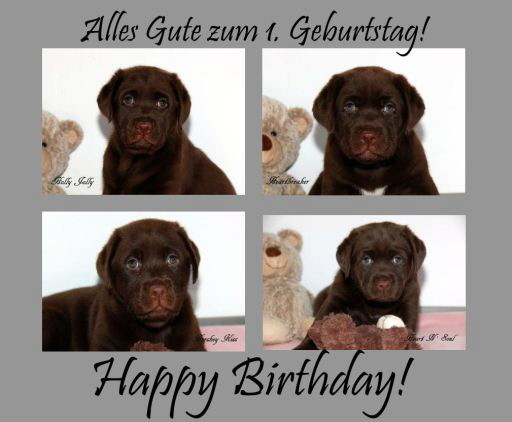 Geburtstag 1 H-Wurfhp-