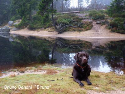 Harz 2010_Kopie-Bruno HP