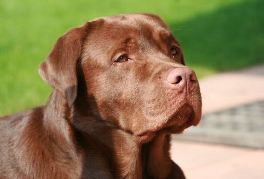 Jack 17.08.08 2