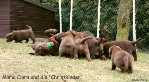 Mama Ciara und die Christkinder hp