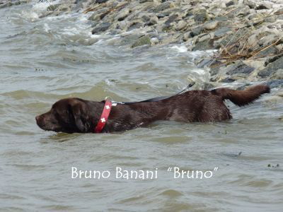 Nordsee 2010BrunoHP2