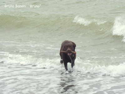 Strand Burgtiefe--hp